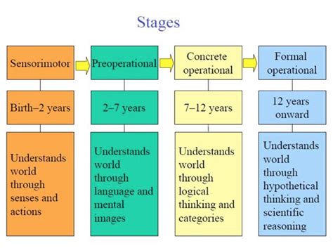 Jean Piaget Stages Of Development Chart Images And Photos Finder