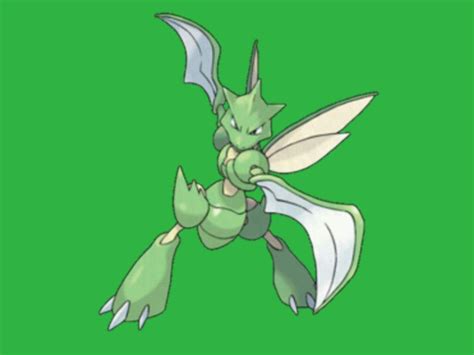 Scyther Pokémon En Español Amino