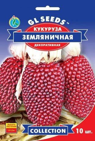 Семена Кукурузы Земляничная купить с доставкой по Киеву и Украине ...