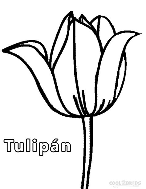 Tulipanes Para Colorear Tulipanes Para Colorear Pintar E Imprimir