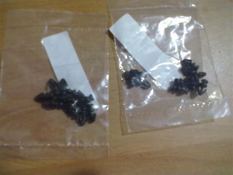 Клипсы уплотнителя дверей. — Ford Mondeo IV, 2 л, 2008 года ...