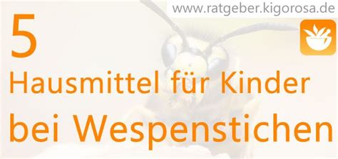 5 Hausmittel für Kinder gegen Wespenstiche Hausmittel Wespenstich