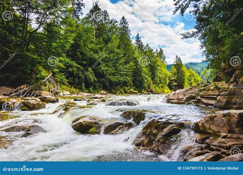 Fiume Della Montagna Con Le Correnti Di Acqua Rapide Alberi Sulla