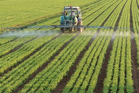 Fertilizante os segredos de uso para cada tipo e produção Grupo