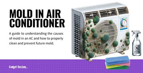 Mold In Air Conditioner How To Clean Out A Moldy Ac