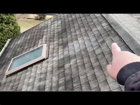 How To Remove Moss Algae From Your Roof Extend The Life Of Your