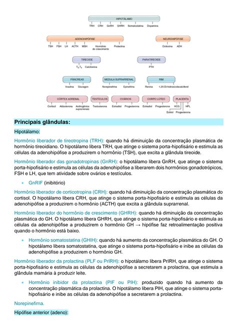 SOLUTION 4 A Perfil Endocrinol Gico Studypool