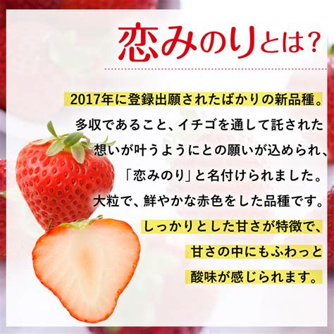 【楽天市場】【ふるさと納税】【先行受付】【2023年1月上旬～順次発送予定】宇城市産いちご 「さちのか」「恋みのり」詰め合わせ 合計6パック