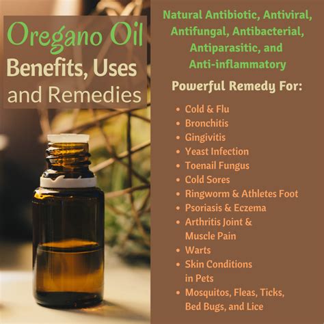 12 Surprising Health Benefits And Uses Of Oregano Oil Remedygrove