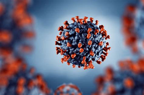 Covid 19 Sette Milioni I Decessi Dallinizio Della Pandemia Il Virus