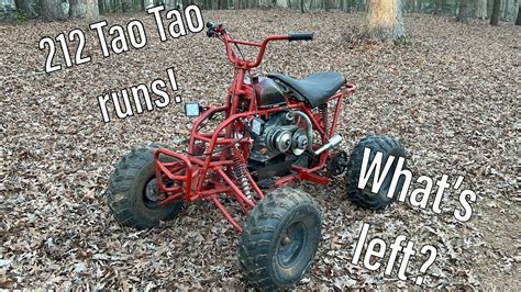 Tao Tao Predator 212 Swap 4 Wheeler First Drive Youtube