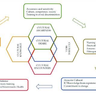 PDF Cultural Competence And Cultural Sensitivity Education In