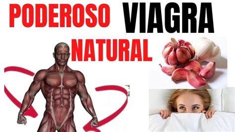 Impotência Masculina Remedio Natural Viagra Natural Masculino Receita Youtube