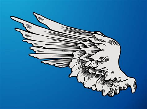 Angel Wing Graphics Vector Art & Graphics | freevector.com