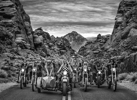 Leader Of The Pack By David Yarrow Whistler Contemporary Gallery