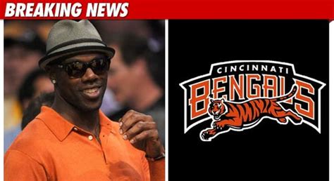 Terrell Owens Signs with the Bengals