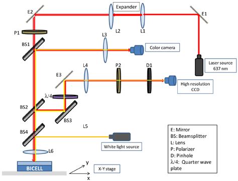 Schematic Of The Optical Setup In This Technique A Polarized Laser