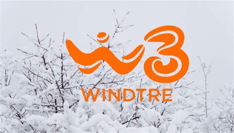 WindTre Sfida Iliad Con Le Tariffe Go Offrono Fino A 100 GB A Soli 6