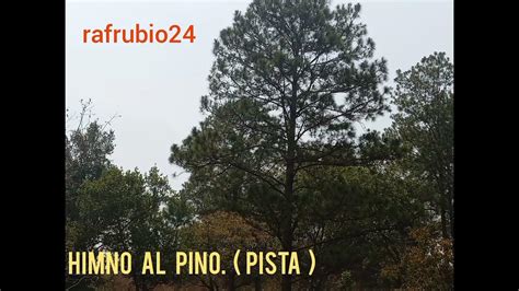 Himno Al Pino Pista Tono Fa Mayor Arreglo Profesor