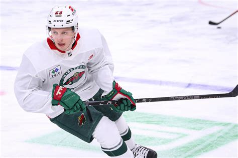 Nhl Rossi Und Wild Jubeln Ber Sieg Hockeyreport Net