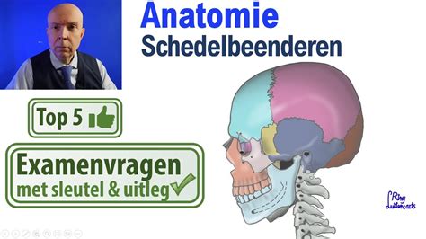 Schedel Beenderen Anatomie Schedel Uitleg Top Examen Vragen Youtube