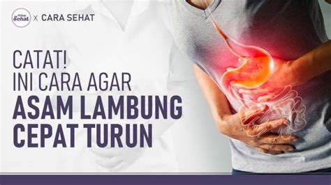 5 Cara Mengobati Asam Lambung Secara Alami Makan Dalam Porsi Kecil