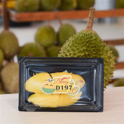 Fresh Musang King Durian Bundle Set Dking