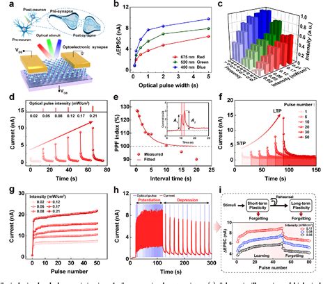 Pdf Bidirectional Synaptic Phototransistor Based On Two Dimensional