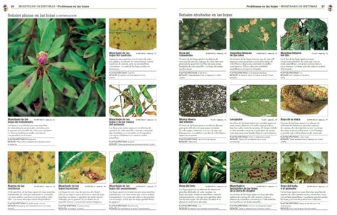 Enciclopedia De Las Plagas Y Enfermedades De Las Plantas El Blog De