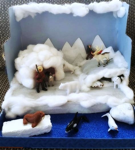 Making An Arctic Diorama Diorama Kids Arctic Animals Projects