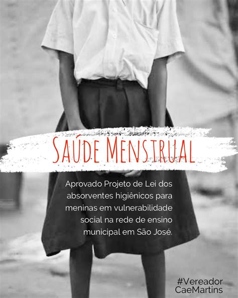 Projeto De Lei Trata Da Pobreza Menstrual Movimento ODS Santa Catarina