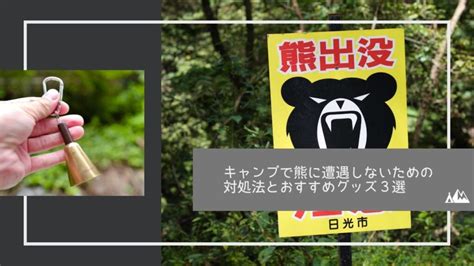 キャンプで熊に遭遇しないための対処法とおすすめグッズ3選 キャンピーポー