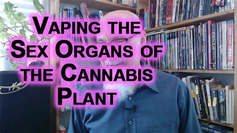 How To Turn People Into Pot Heads The Pleasures Of Vaping The Sex Organs Of A Plant [asmr]