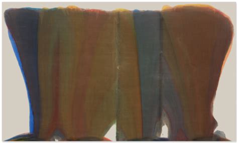 Morris Louis Veil Paintings Dalet Kuf