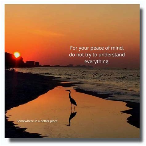 For Your Peace Of Mind Do Not Try To Understand Everything