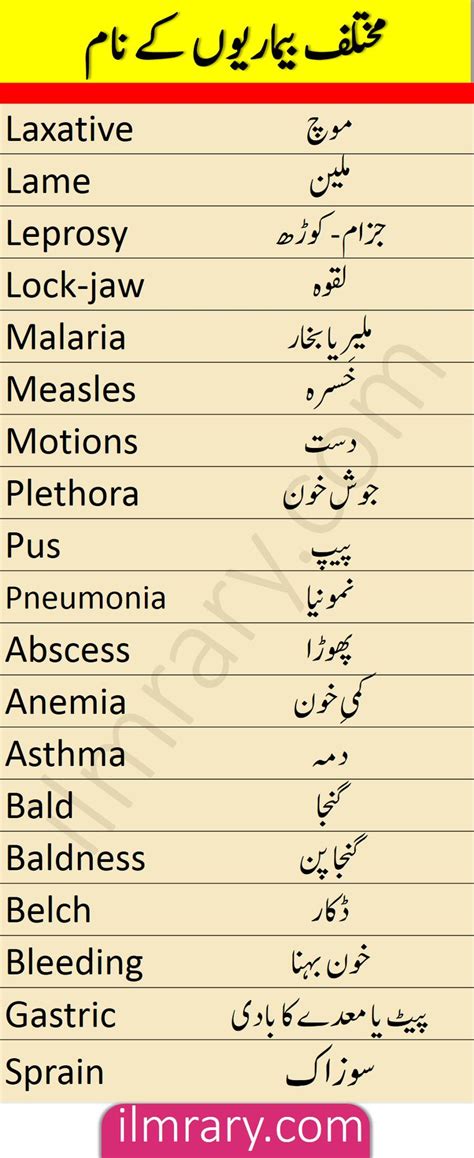 Fruits Names Vocabulary In English With Urdu Meanings English