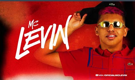 Amor De Bosta Remix Mc Levin Feat Dj Maloka Original Letra