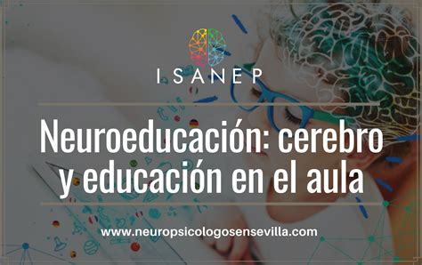 Neuroeducaci N Cerebro Y Educaci N En El Aula Isanep