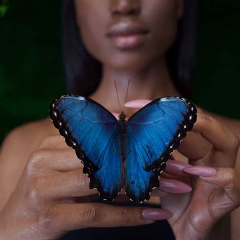 Black and Blue Butterfly: Spiritual Meaning - Awakening State