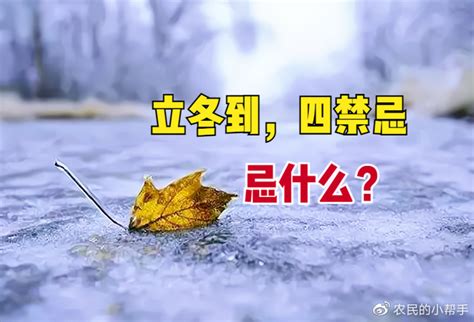 11月7日立冬，别丢了老规矩，老话“立冬到，四禁忌”，忌什么？财经头条