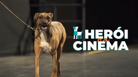 Cachorro invade cinema em incentivo a adoção de pets da Cobasi