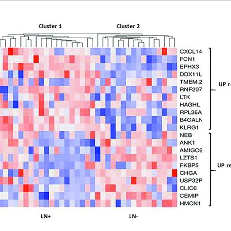 Hierarchical Clustering Heat Map Of Differential Expressed Genes