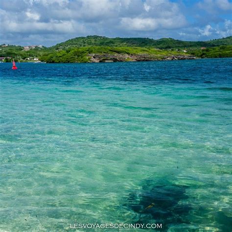 Les Plus Belles Plages De La Martinique Artofit