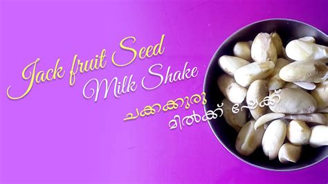 Jack Fruit Seed Milk Shake ചക്കകുരു മിൽക്ക് ഷേക്ക് Youtube