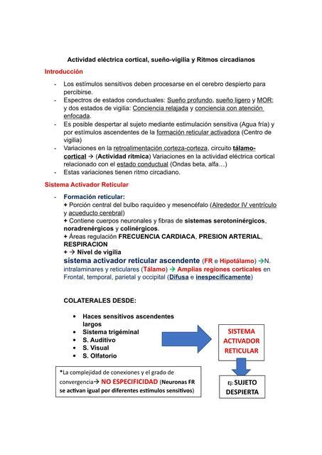 Resumen Cap Tulo Actividad El Ctrica Del Cerebro Estados De Sue O