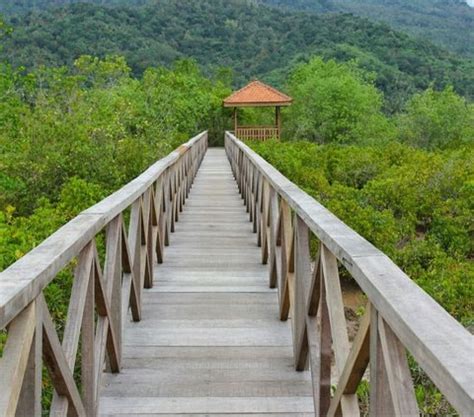 Wisata Trenggalek Yang Indah Dan Menakjubkan Cocok Untuk Liburan