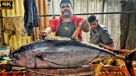 Kasimedu Speed Selvam Giant Yellow Fin Tuna Fish Cutting Video K