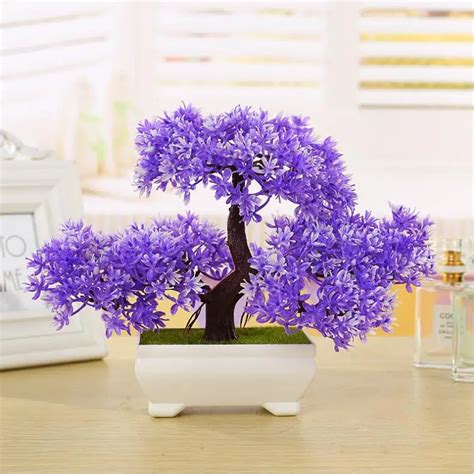 10 Pcs Welcoming Pine Bonsai Bonsai Tree Seedling Indoor Woody Plants