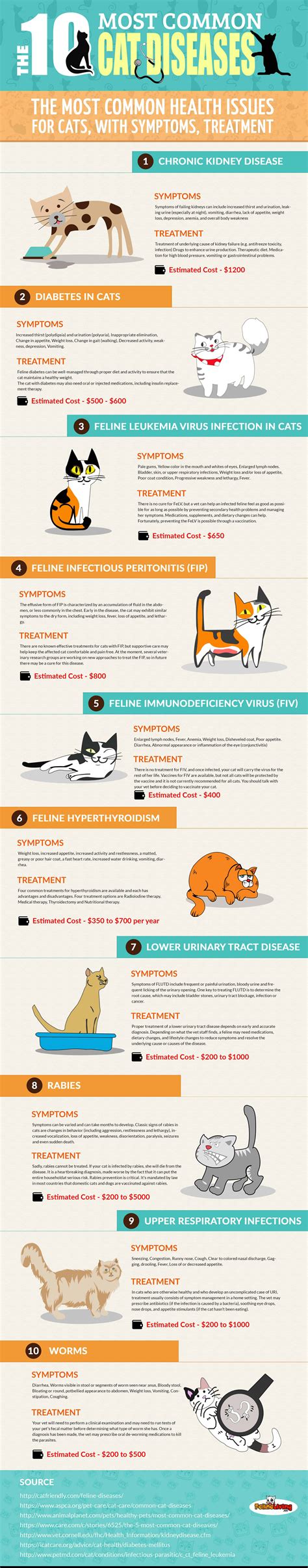 Cat Lover's Guide To Common Feline Diseases [Infographic]