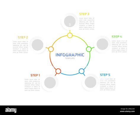 Circular Diagram Infographic Chart Design Template Stock Vector Image